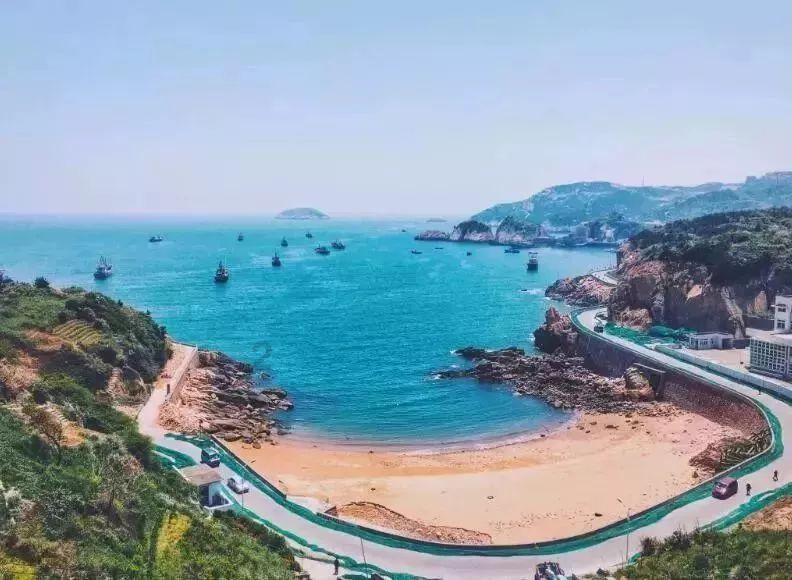 海报图品|新手养鼠，这几件事千万不要做